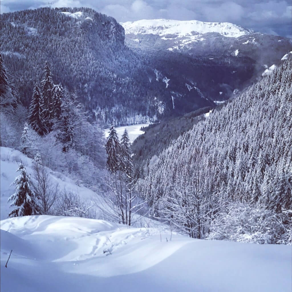 How to survive the Christmas Season!