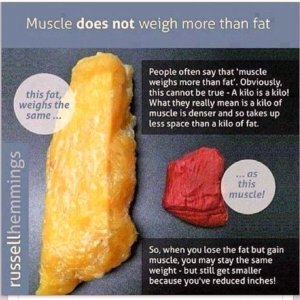 Muscle does not weigh more than fat