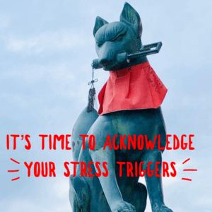 How Stress affects our bodies