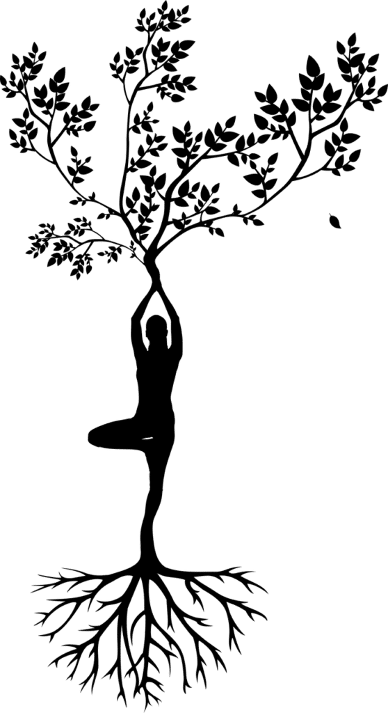 What are PCOS and Endometriosis?