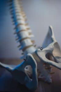 Bones of the pelvis, for help understanding if your pelvic floor needs help.