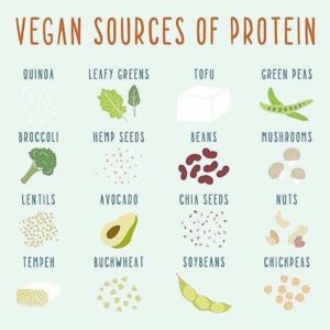 Vegan sources of protein